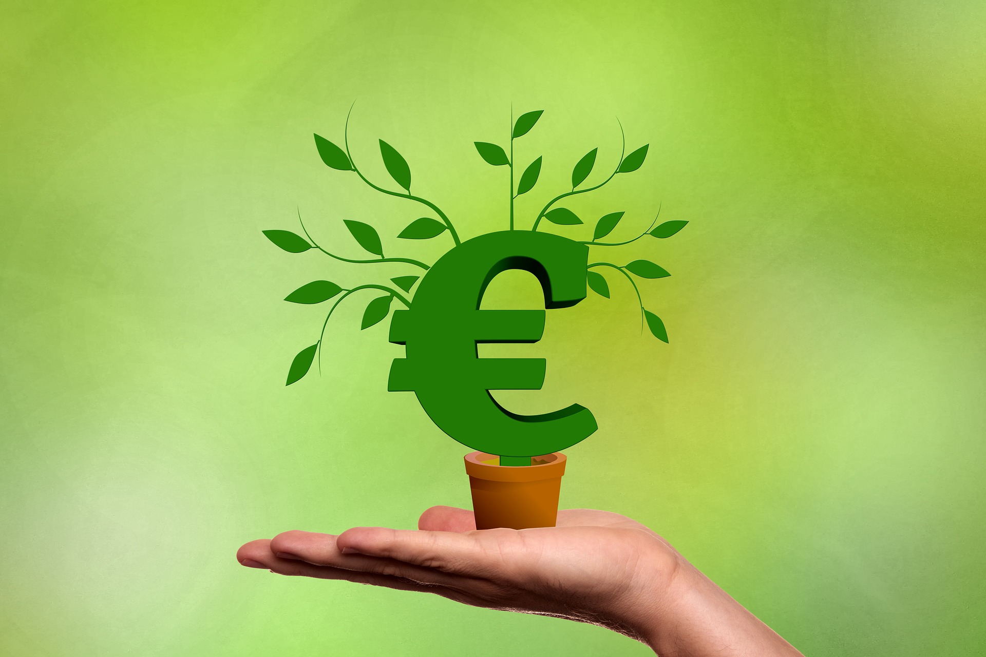 Reflection About The First Half Of The Project – Green Financing ...